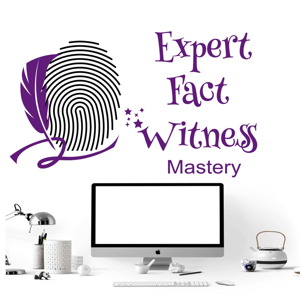 Expert Fact Witness 2024