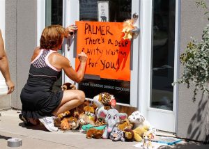 Walter james Palmer, dentist who killed lion