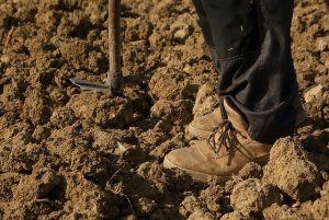tilled soil