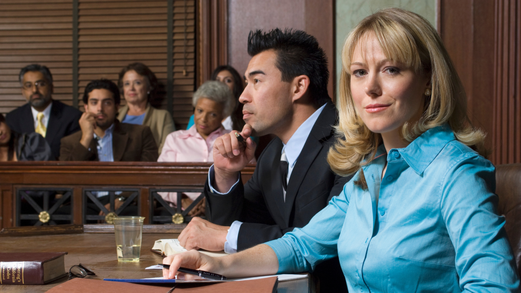 Expert Witness Mastery for Nursing Professionals