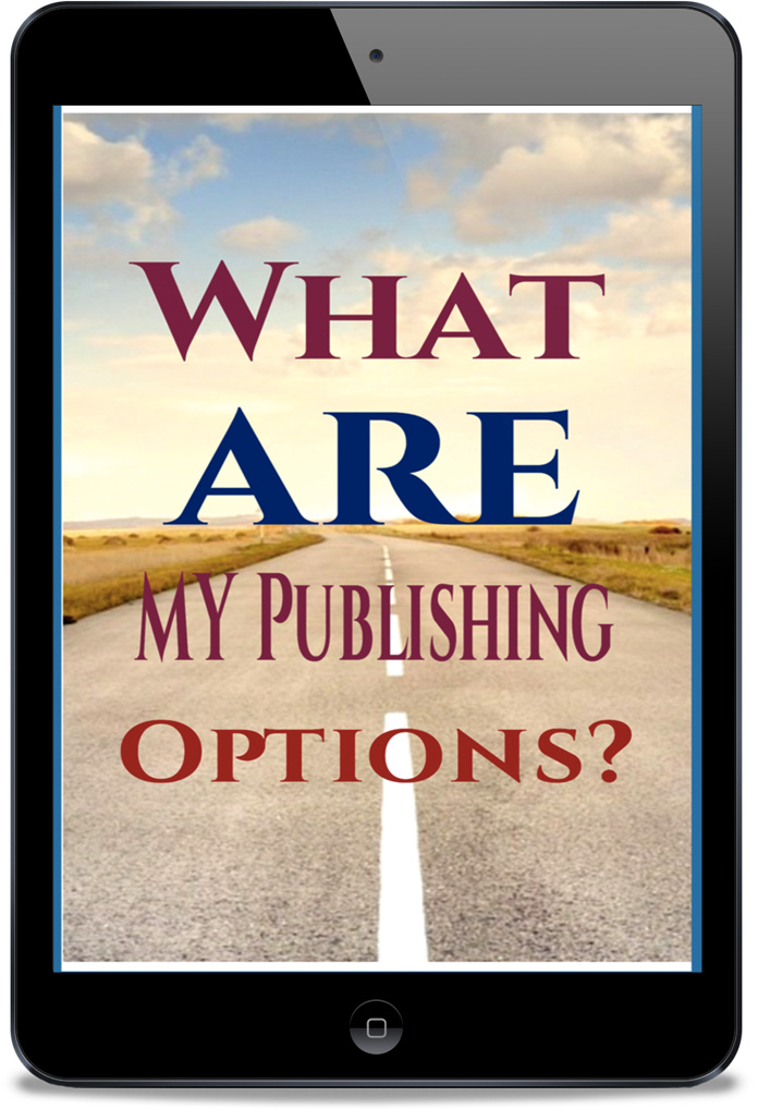 What are my publishing options