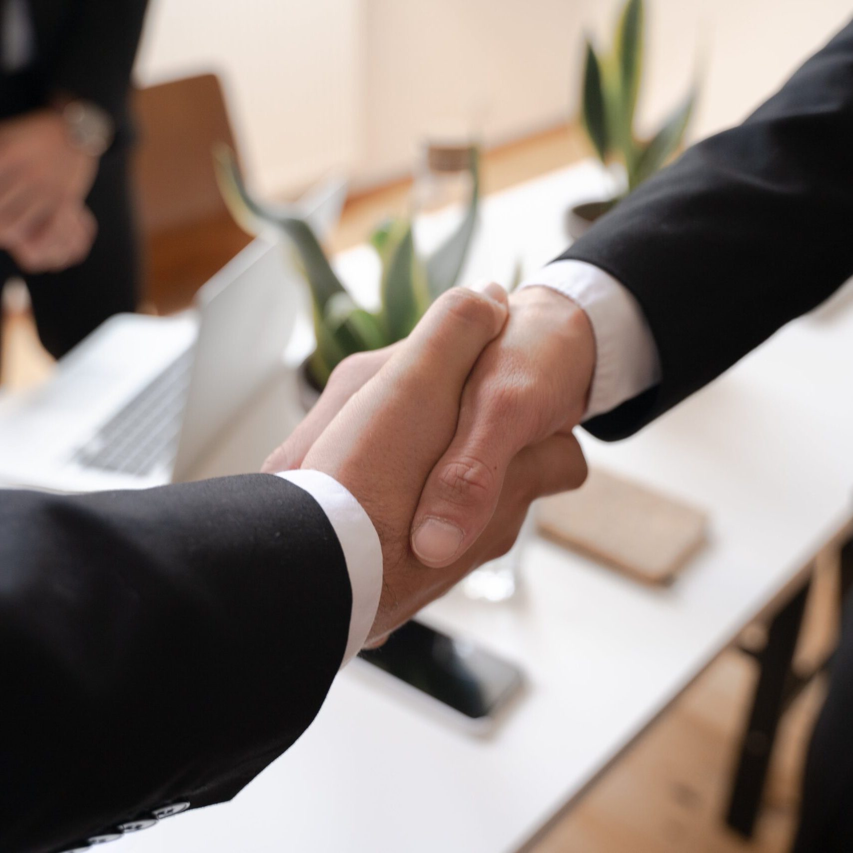 Negotiation Strategies